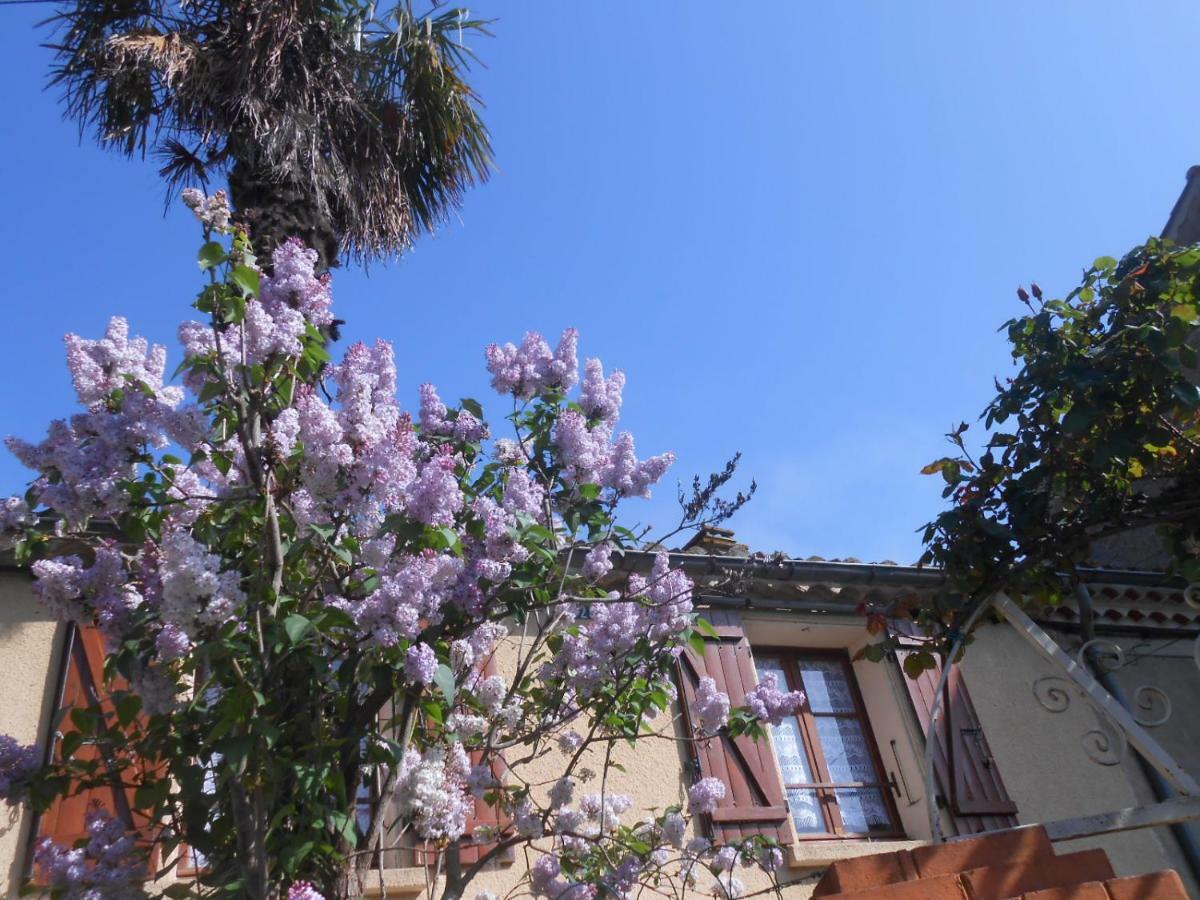 Maison Palmeral Coustaussa Exterior foto